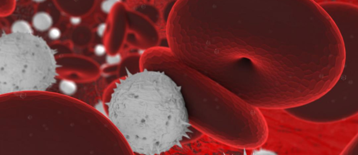 Выработка лейкоцитов. Лейкоциты фото. Белые кровяные тельца. White Blood Cells фото. Белое иммунное.