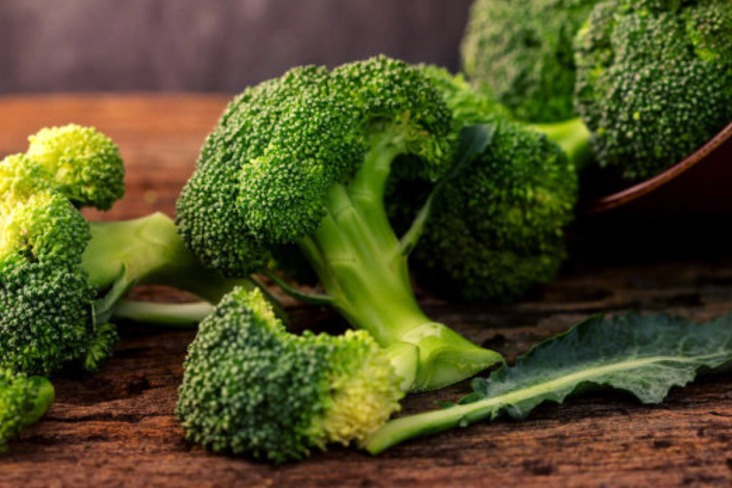 Natural Compound Found in Broccoli Reawakens the Function of Potent ...